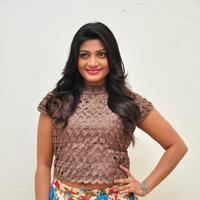 Soumya at Srimanthudu Thanks Meet Stills | Picture 1098612