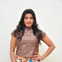 Soumya at Srimanthudu Thanks Meet Stills | Picture 1098613