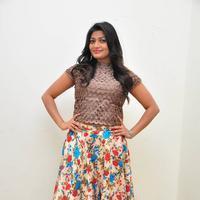 Soumya at Srimanthudu Thanks Meet Stills | Picture 1098615