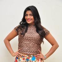 Soumya at Srimanthudu Thanks Meet Stills | Picture 1098617