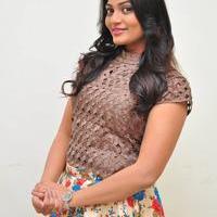 Soumya at Srimanthudu Thanks Meet Stills | Picture 1098618