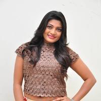 Soumya at Srimanthudu Thanks Meet Stills | Picture 1098621