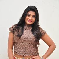 Soumya at Srimanthudu Thanks Meet Stills | Picture 1098622