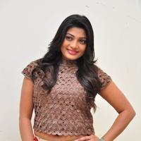 Soumya at Srimanthudu Thanks Meet Stills | Picture 1098623