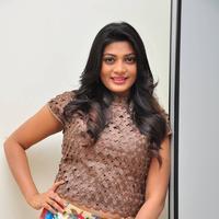 Soumya at Srimanthudu Thanks Meet Stills | Picture 1098643