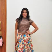 Soumya at Srimanthudu Thanks Meet Stills | Picture 1098665