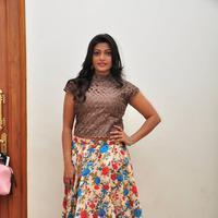 Soumya at Srimanthudu Thanks Meet Stills | Picture 1098666