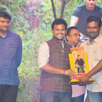 Srimanthudu Movie Thanks Meet Photos | Picture 1098428