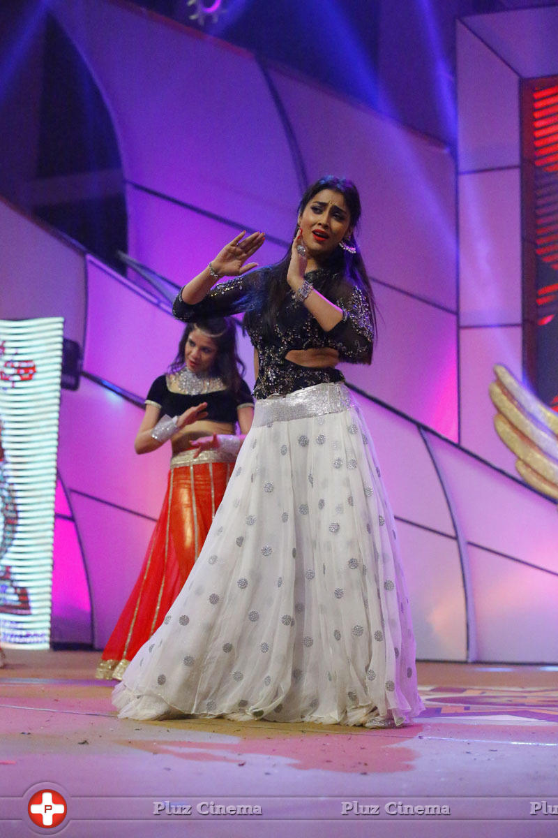 Shriya Saran - Santosham 13th Anniversary Awards 2015 Function Photos | Picture 1103183