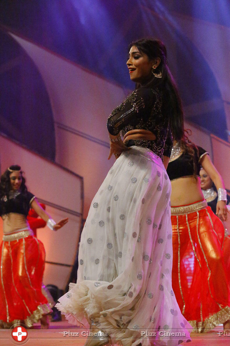 Shriya Saran - Santosham 13th Anniversary Awards 2015 Function Photos | Picture 1103186