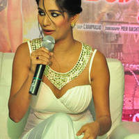 Poonam Pandey - Malini And Co Movie Press Meet Photos | Picture 1105054