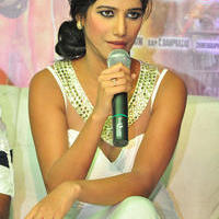 Poonam Pandey - Malini And Co Movie Press Meet Photos | Picture 1105078
