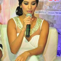 Poonam Pandey - Malini And Co Movie Press Meet Photos | Picture 1105081