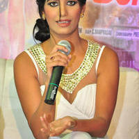 Poonam Pandey - Malini And Co Movie Press Meet Photos | Picture 1105090