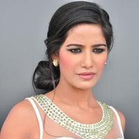 Poonam Pandey at Malini And Co Press Meet Stills | Picture 1105318