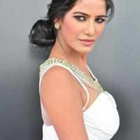 Poonam Pandey at Malini And Co Press Meet Stills | Picture 1105365