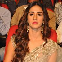 Disha Patani at Loafer Movie Audio Launch Photos | Picture 1173160