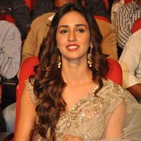 Disha Patani at Loafer Movie Audio Launch Photos | Picture 1173162