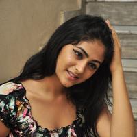 Palak Lalwani at Abbayitho Ammayi Movie Release Press Meet Photos | Picture 1174005