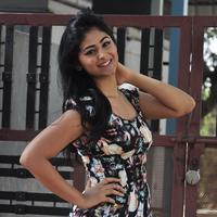 Palak Lalwani at Abbayitho Ammayi Movie Release Press Meet Photos | Picture 1174031
