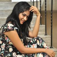 Palak Lalwani at Abbayitho Ammayi Movie Release Press Meet Photos | Picture 1174056