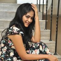 Palak Lalwani at Abbayitho Ammayi Movie Release Press Meet Photos | Picture 1174057