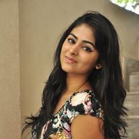 Palak Lalwani at Abbayitho Ammayi Movie Release Press Meet Photos | Picture 1174077
