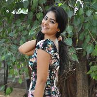 Palak Lalwani at Abbayitho Ammayi Movie Release Press Meet Photos | Picture 1174087
