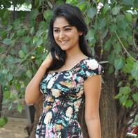 Palak Lalwani at Abbayitho Ammayi Movie Release Press Meet Photos | Picture 1174090