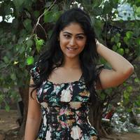 Palak Lalwani at Abbayitho Ammayi Movie Release Press Meet Photos | Picture 1174094