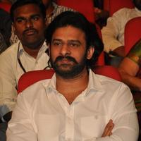 Prabahs at Loafer Movie Audio Launch Event Stills | Picture 1173952