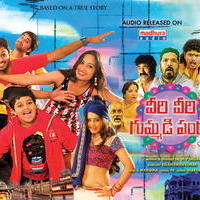 Veeri Veeri Gummadi Pandu Movie New Posters | Picture 1174679