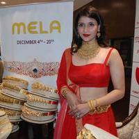 Mannara Chopra - Vaddanam and Uncut Diamond Mela Launch at Manepally Jewellers Stills | Picture 1174647