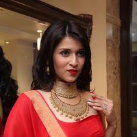 Mannara Chopra - Vaddanam and Uncut Diamond Mela Launch at Manepally Jewellers Stills