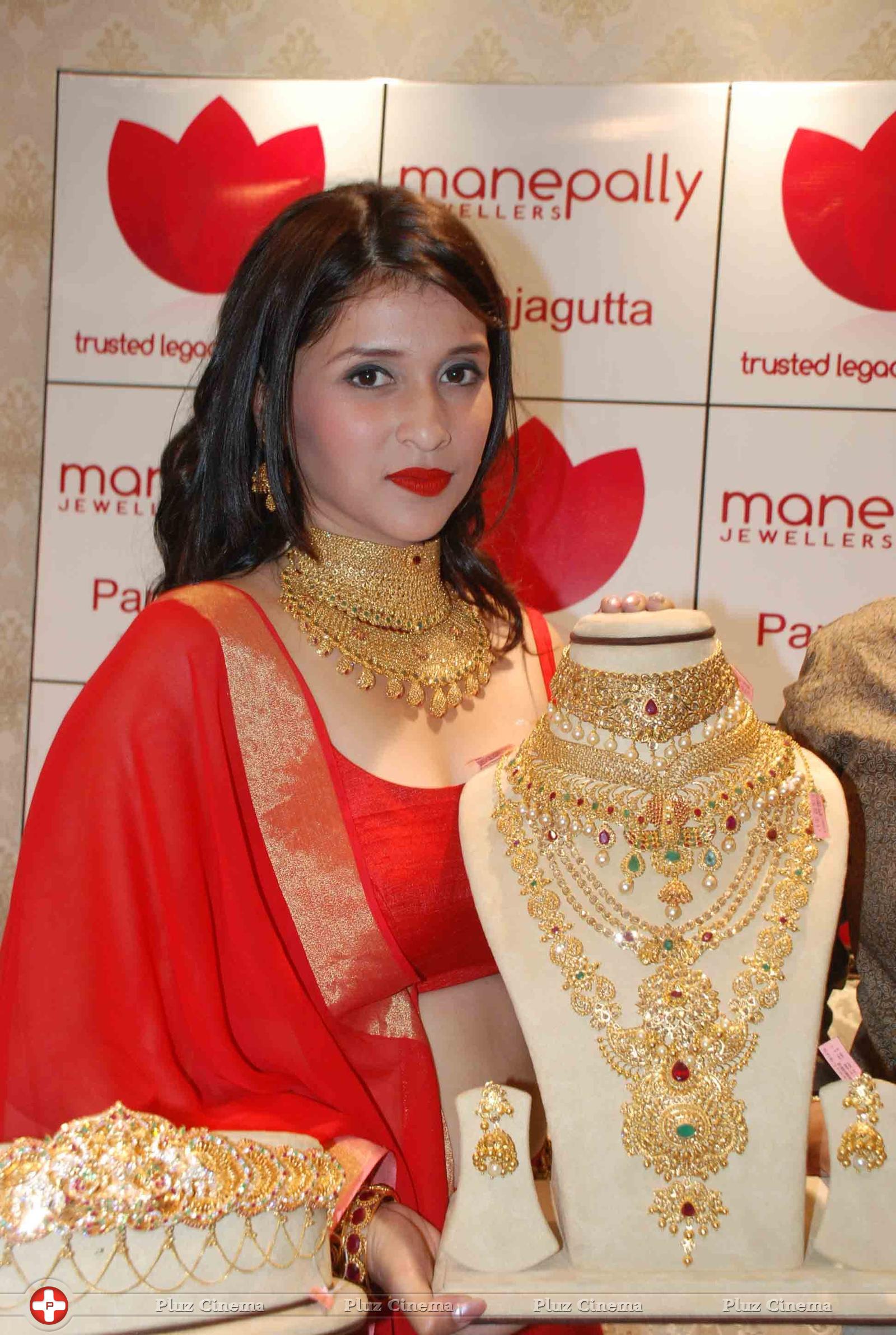 Vaddanam and Uncut Diamond Mela Launch at Manepally Jewellers Stills | Picture 1174637