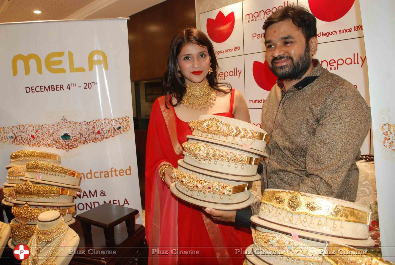 Vaddanam and Uncut Diamond Mela Launch at Manepally Jewellers Stills | Picture 1174638