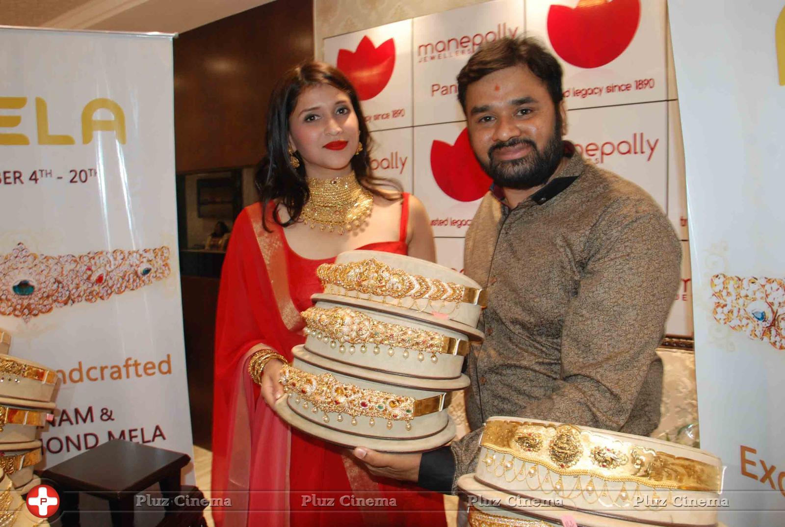 Vaddanam and Uncut Diamond Mela Launch at Manepally Jewellers Stills | Picture 1174640