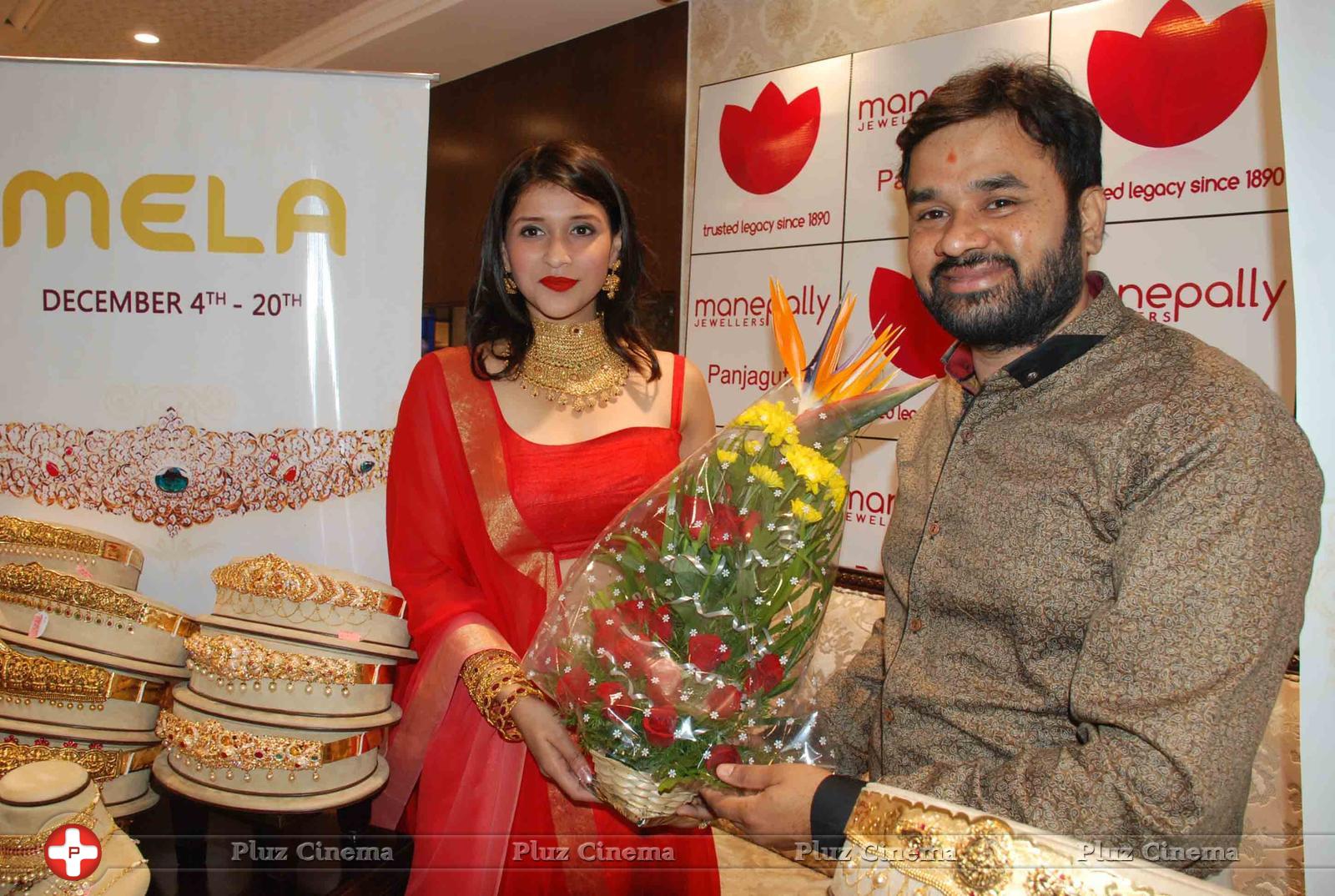Vaddanam and Uncut Diamond Mela Launch at Manepally Jewellers Stills | Picture 1174644