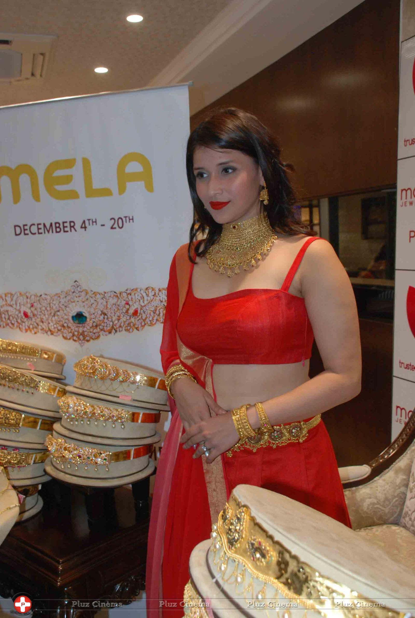 Mannara Chopra - Vaddanam and Uncut Diamond Mela Launch at Manepally Jewellers Stills | Picture 1174645