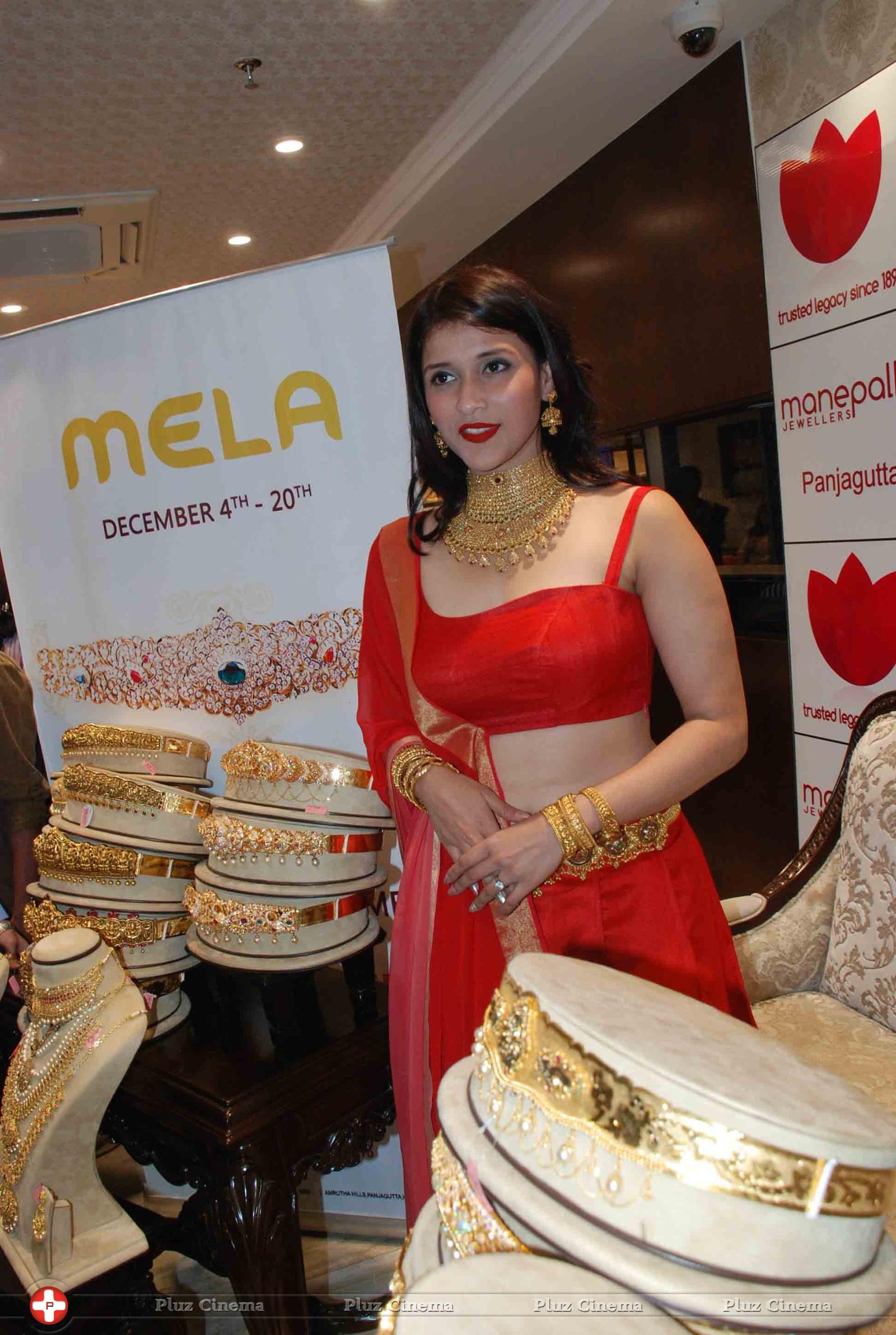 Mannara Chopra - Vaddanam and Uncut Diamond Mela Launch at Manepally Jewellers Stills | Picture 1174650