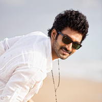 Actor Aadhi Photoshoot Gallery | Picture 1176743