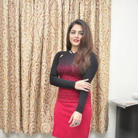 Wamiqa Gabbi at Bhale Manchi Roju Movie Press Meet Stills | Picture 1176500