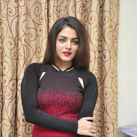 Wamiqa Gabbi at Bhale Manchi Roju Movie Press Meet Stills | Picture 1176519