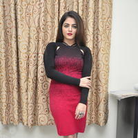 Wamiqa Gabbi at Bhale Manchi Roju Movie Press Meet Stills | Picture 1176520