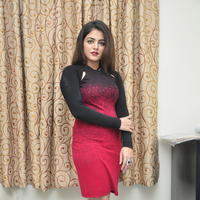 Wamiqa Gabbi at Bhale Manchi Roju Movie Press Meet Stills | Picture 1176521