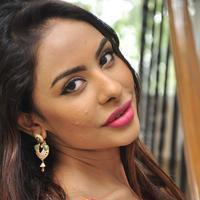 Srilekha Reddy Hot Gallery | Picture 1178383