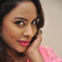 Srilekha Reddy Hot Gallery | Picture 1178385