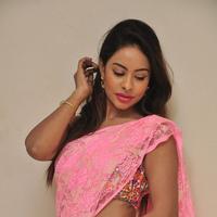 Srilekha Reddy Hot Gallery | Picture 1178429