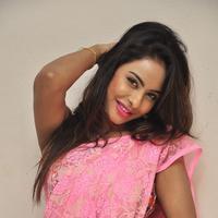 Srilekha Reddy Hot Gallery | Picture 1178442