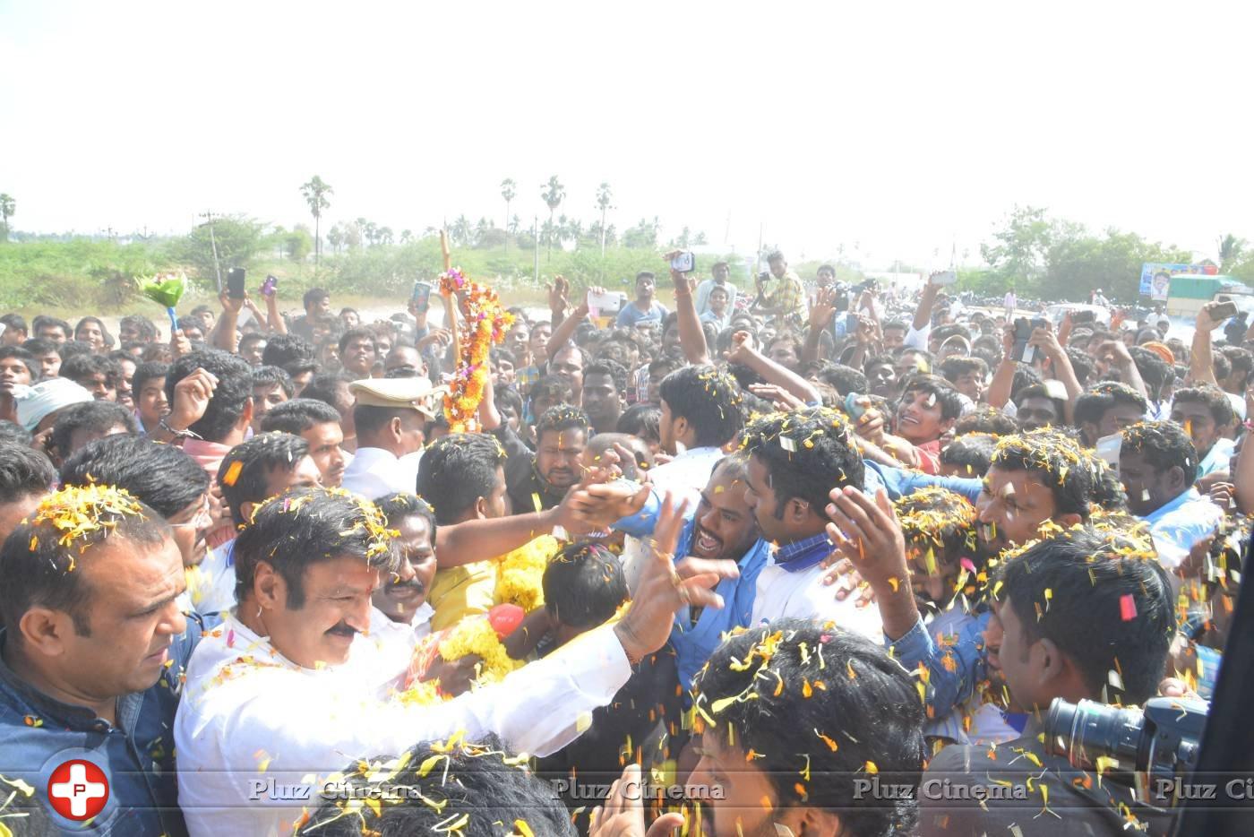 Dictator Audio Launch Rally Hyderabad to Amaravathi Photos | Picture 1182021